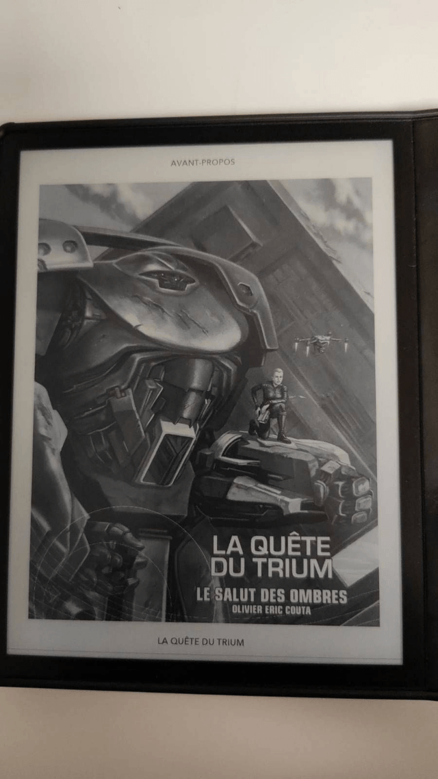 Ebook La quête du Trium